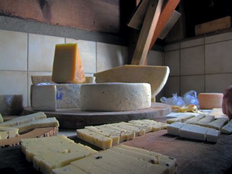 Free Images : wood, food, delicious, holland, pleasure, cheese shop 3648x2736 - - 1346877 - Free ...