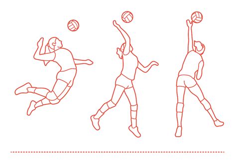 Volleyball Spike (Attack) Dimensions & Drawings | Dimensions.com