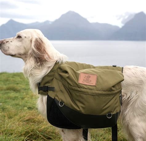 Best Dog Hiking Harness Picks: Safe Canine Adventuring!