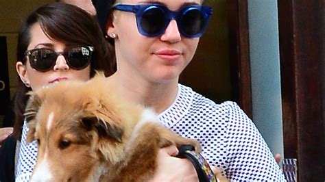 A Complete Guide to Every One of Miley Cyrus's Pets | Teen Vogue