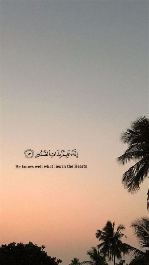 Quran Quotes Iphone, mejor iphone árabe fondo de pantalla del teléfono | Pxfuel