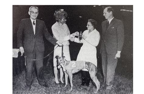 GEORGE CURTIS TRAINING GREYHOUNDS - CHAPTER ONE (2/2) - Greyhound Star | News from the Greyhound ...