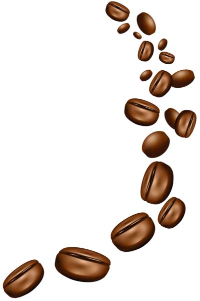 Coffee beans PNG transparent image download, size: 400x600px