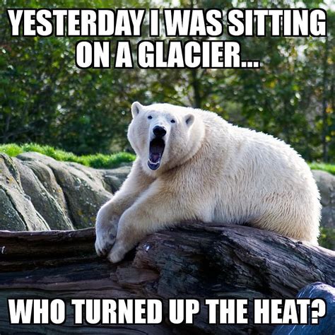 @turnkeypets Yesterday I was sitting on a glacier... Who turned up the heat? #polarbear #glacier ...