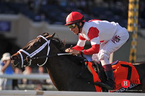 Kitten's Roar Wins Goldikova Stakes on Breeders' Cup Day