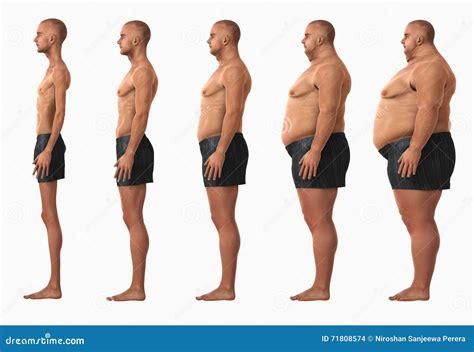 Man Body Mass Index BMI Categories Stock Photo - Image of condition ...