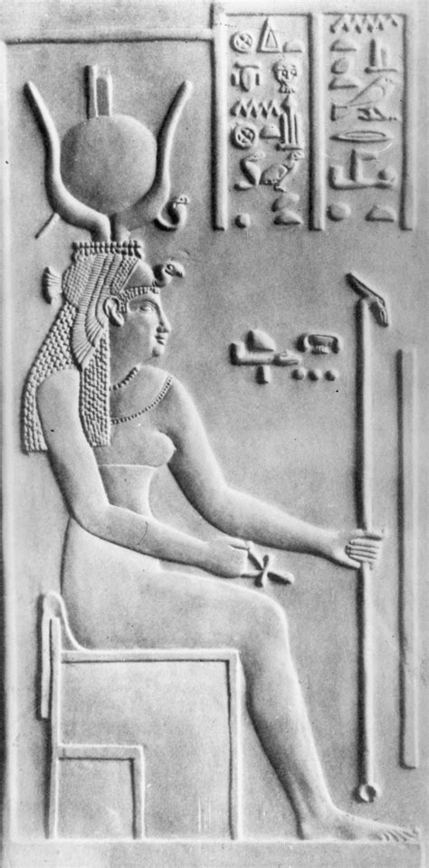 Cleopatra. | Cleopatra, Ptolemaic egypt, Ptolemaic dynasty