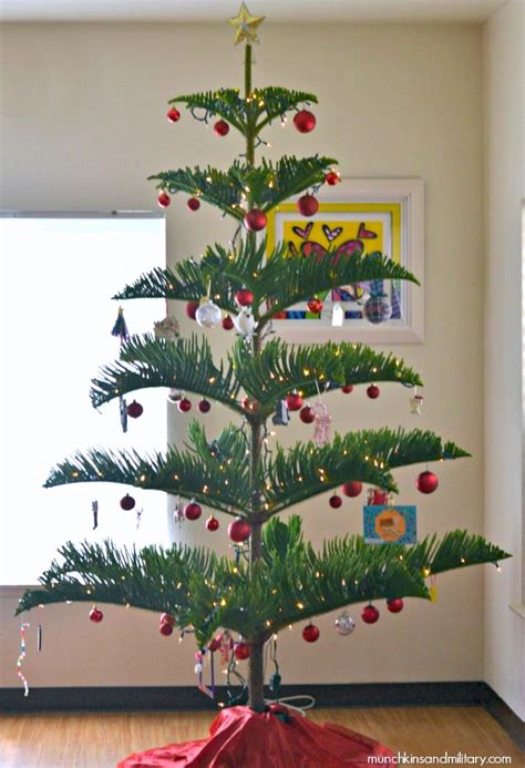 Christmas Trees on Parade - A Hawaiian Christmas Tree - Three Little Ferns - Family Lifestyle Blog