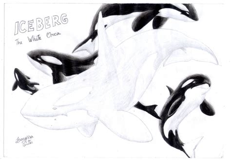 Iceberg, the White Orca by laryssadesenhista on DeviantArt