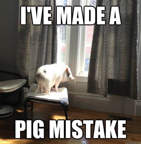 Regret Pig memes | quickmeme