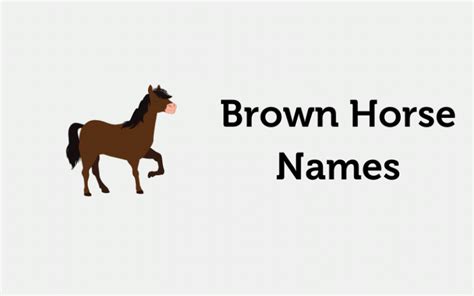 171+ Brown Horse Names - Amazing ideas (2021) - Equine Desire