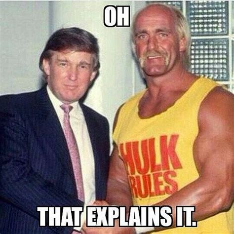 Funniest Hulk Hogan memes after firing from WWE for racist rant | Page ...