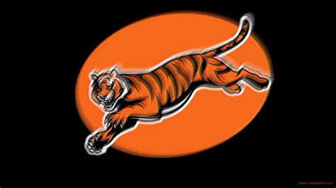 🔥 [45+] Bengals Logo Wallpapers | WallpaperSafari