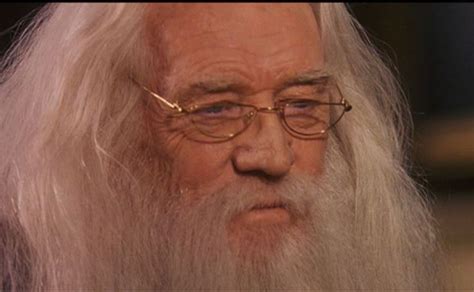 Richard Harris as Albus Dumbledore | The secret book, Little books ...