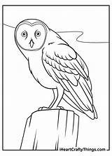 15 Realistic Animals Coloring Pages 100% Free Printables sketch template