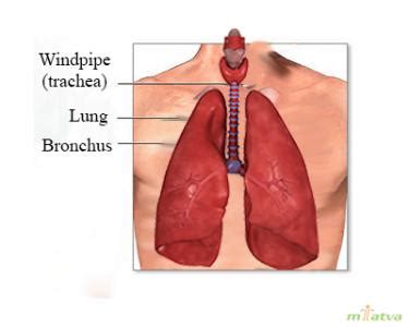 LRTI: Meaning, Diagnosis and Overview - mTatva Health-PIE