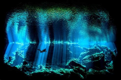 20 of the Most Incredible Underwater Photos Ever Taken | Fotos ...