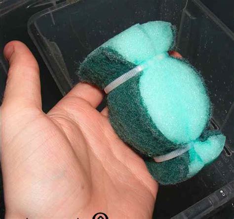 3. How To Make A DIY Sponge Filter | Diy sponges, Diy fish tank, Diy ...
