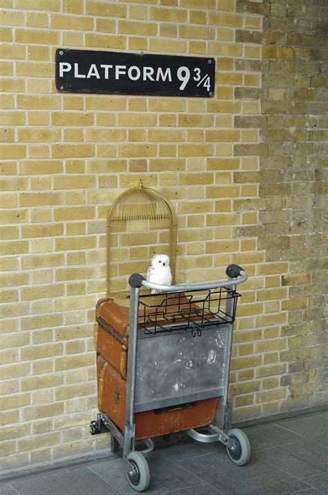 Platform Nine and Three Quarters | Harry potter luggage, Rowling, Luggage trolley