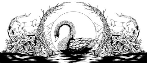 The Black Swan Lake 黑天鹅湖_THEQ缔蔻品牌设计-站酷ZCOOL