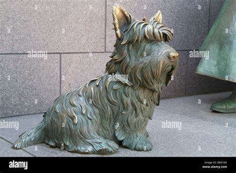 Fala - FDR's dog Stock Photo - Alamy