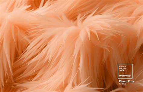 Pantone 2024 Peach Fuzzy Color Palette - Lotta Elfreda