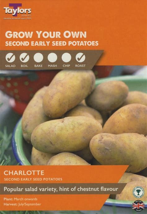 10 Pack Charlotte Seed Potatoes - Gordon Rigg