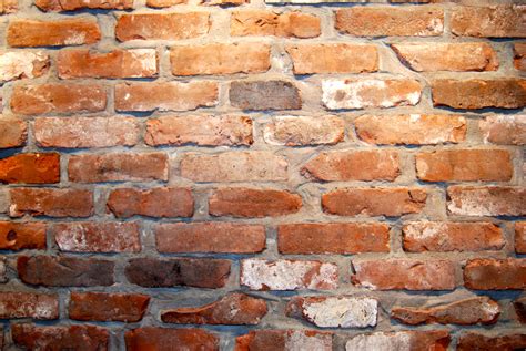 Brick Wall Tiles Interior at Toni Hines blog