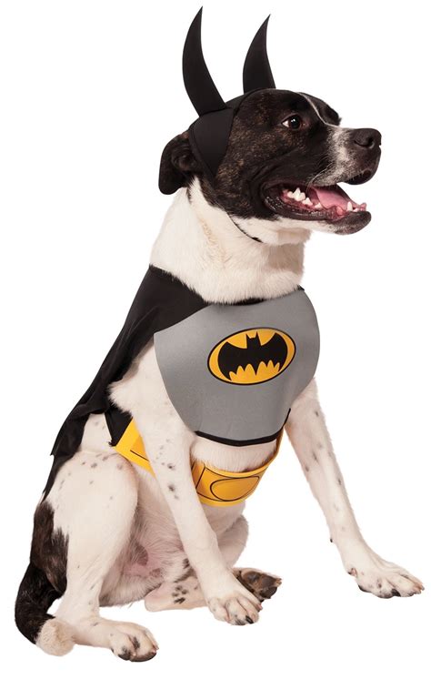 batman-dog-costume | Mimi & Tara