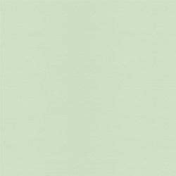 Classic Crest Sage Green Smooth 24# 23" x 35" | Sage green wallpaper, Mint green aesthetic ...