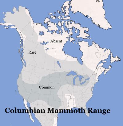 Columbian Mammoth - DAVE TAYLOR'S WILDLIFE