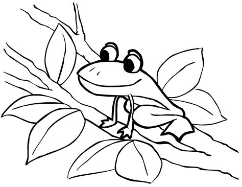 Free Printable Frog Coloring Pages For Kids | Animal coloring pages, Frog coloring pages, Free ...