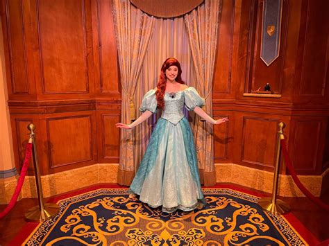 Disney Princesses Disney World Ariel