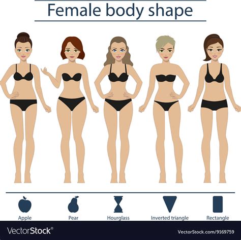 Female body shape set Royalty Free Vector Image