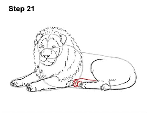 How to Draw a Lion (Color) VIDEO & Step-by-Step Pictures