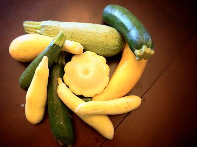 riddlelove: Summer Squash 12 Ways ~ Recipes for the Harvest