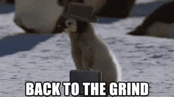 Welcome Back To Work GIFs - Find & Share on GIPHY