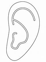 Ear coloring Page  ColouringPages sketch template