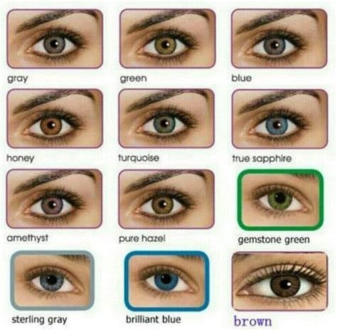 human eye color chart google search tipos de ojos ojos ambar ojos - all ...