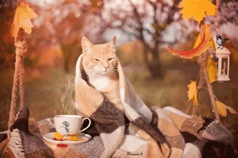 Autumn GIFs | Tenor