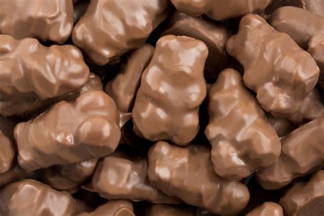 CHOCOLATE COVERED GUMMI BEARS, 1LB (Albanese)PREMIUM QUALITY - Nuts 'N More