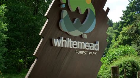 Fun-filled family holidays at Whitemead Forest Park - YouTube