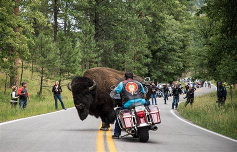 Just A Car Guy: 77th Sturgis Motorcycle Rally. Photo by Josh Kurpius.