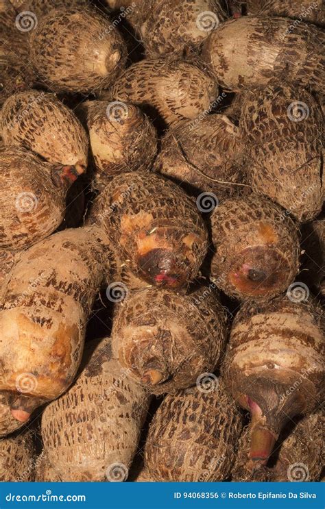 Yam stock photo. Image of dioscorea, edible, plant, diet - 94068356