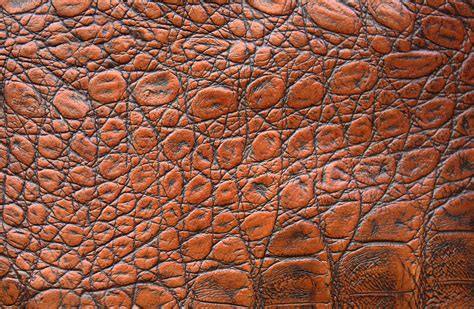 Leather Skin Texture - Free photo on Pixabay