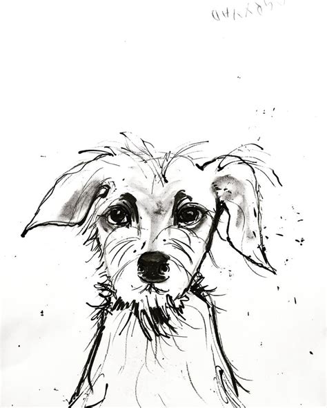 Scruffy Dog charcoal & ink drawing by Lizzie Reakes | Scruffy dogs, Ink ...