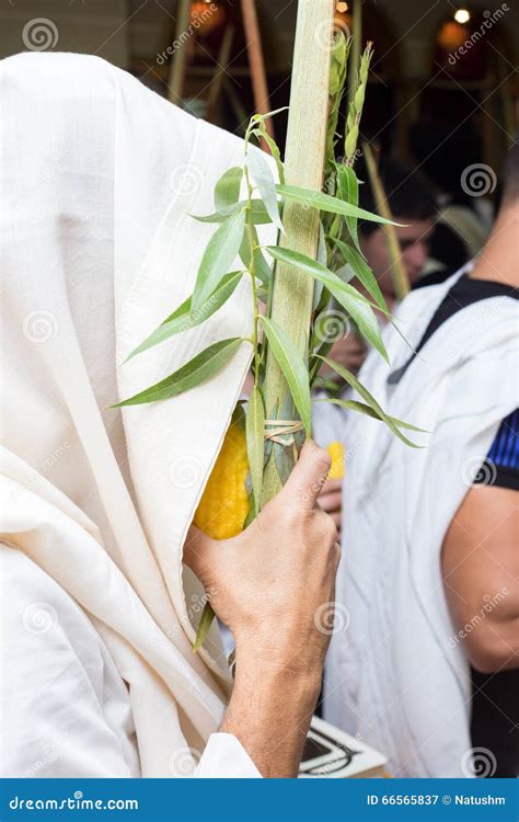 Sukkot. Man Holding a Lulav and Etrog in Synagogue Stock Image - Image of four, holiday: 66565837