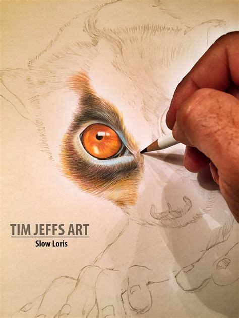 a person is drawing an animal's eye with a pencil on paper and the words tim jeffs art slow ...