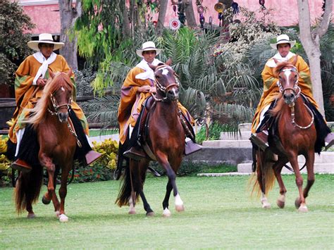 1-Day-Peruvian-Paso-Horse-Show-in-Lima | Adventures Within Reach