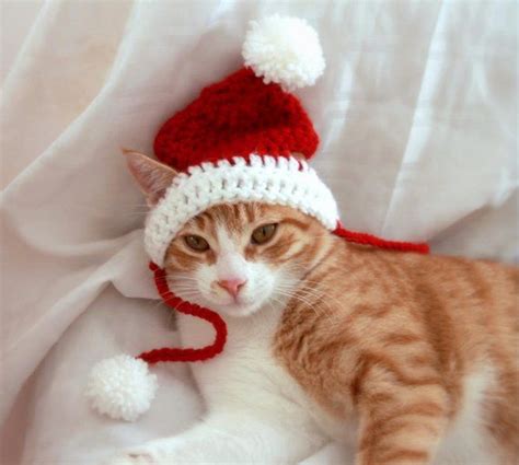 Cat Santa Hat Crochet Pattern Free Check Out Below Link For Web Version. - Printable Templates Free